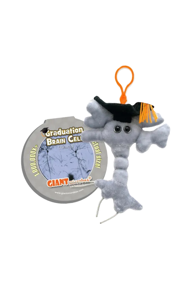 Enfermania Regalos porte-clés peluche neurone graduée 15 cm