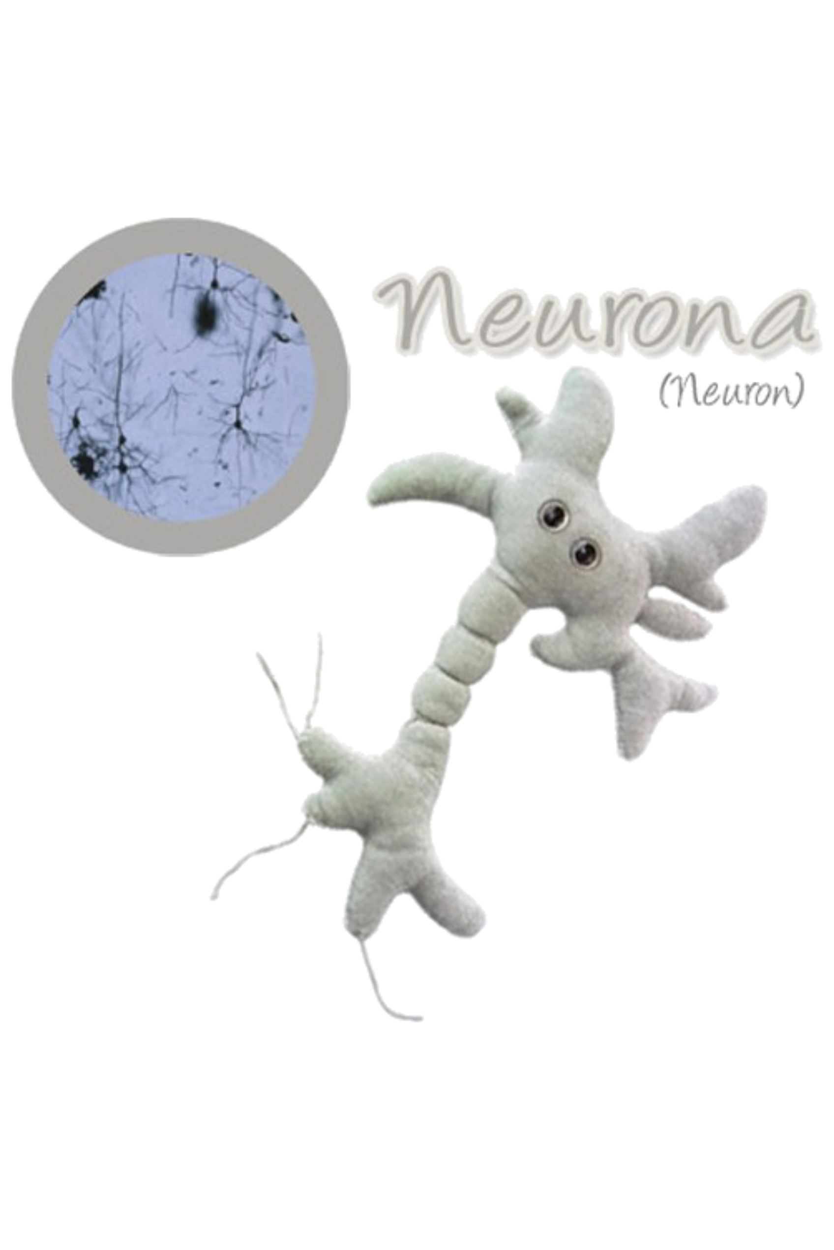 GiantMicrobes peluche Neurone polyester 13-18 cm Enfermania