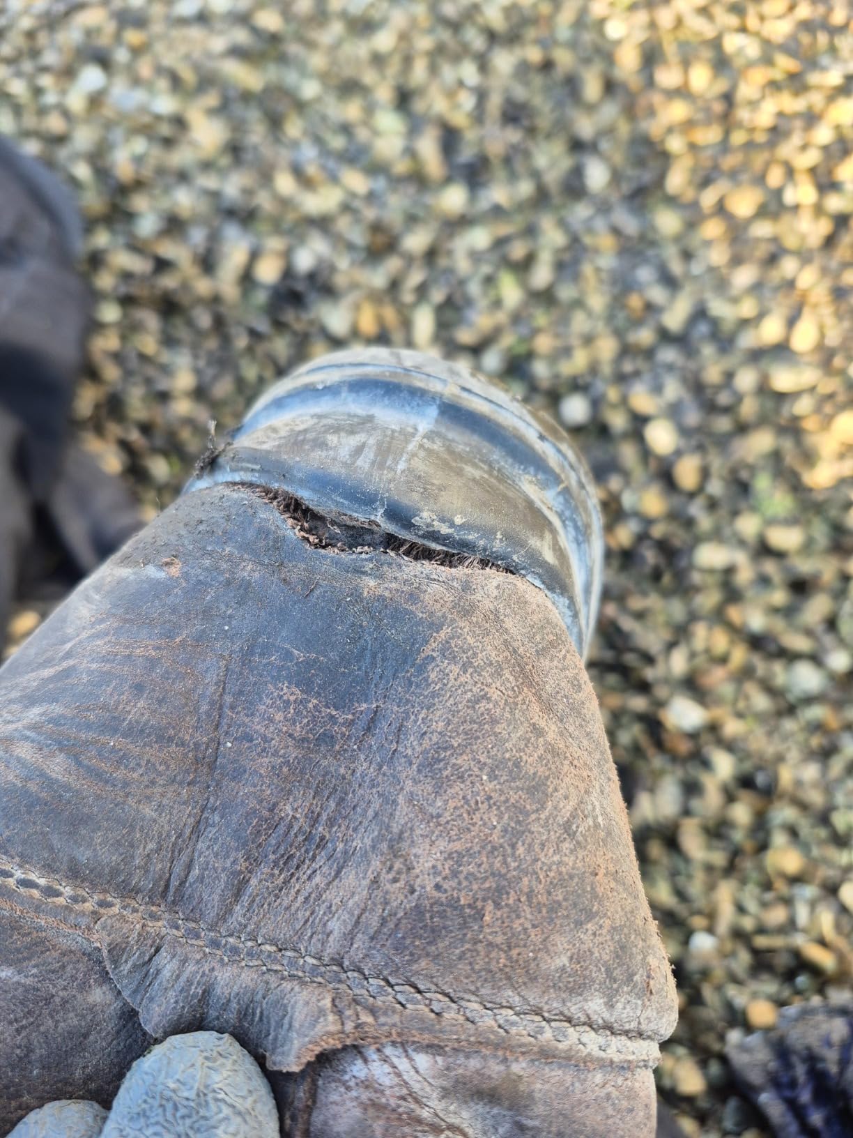 Würth MODYF Xorion Bottes de Sécurité Fourrées S3 Marron 47