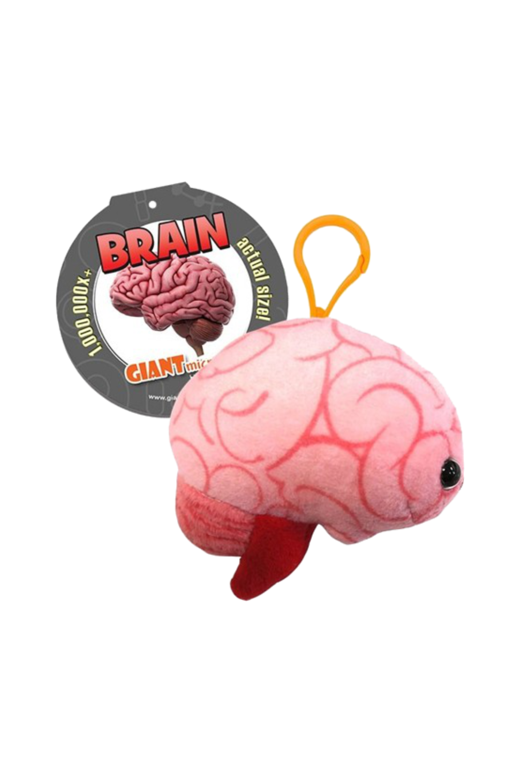 Enfermania Regalos Cerebro porte-clés peluche polyester