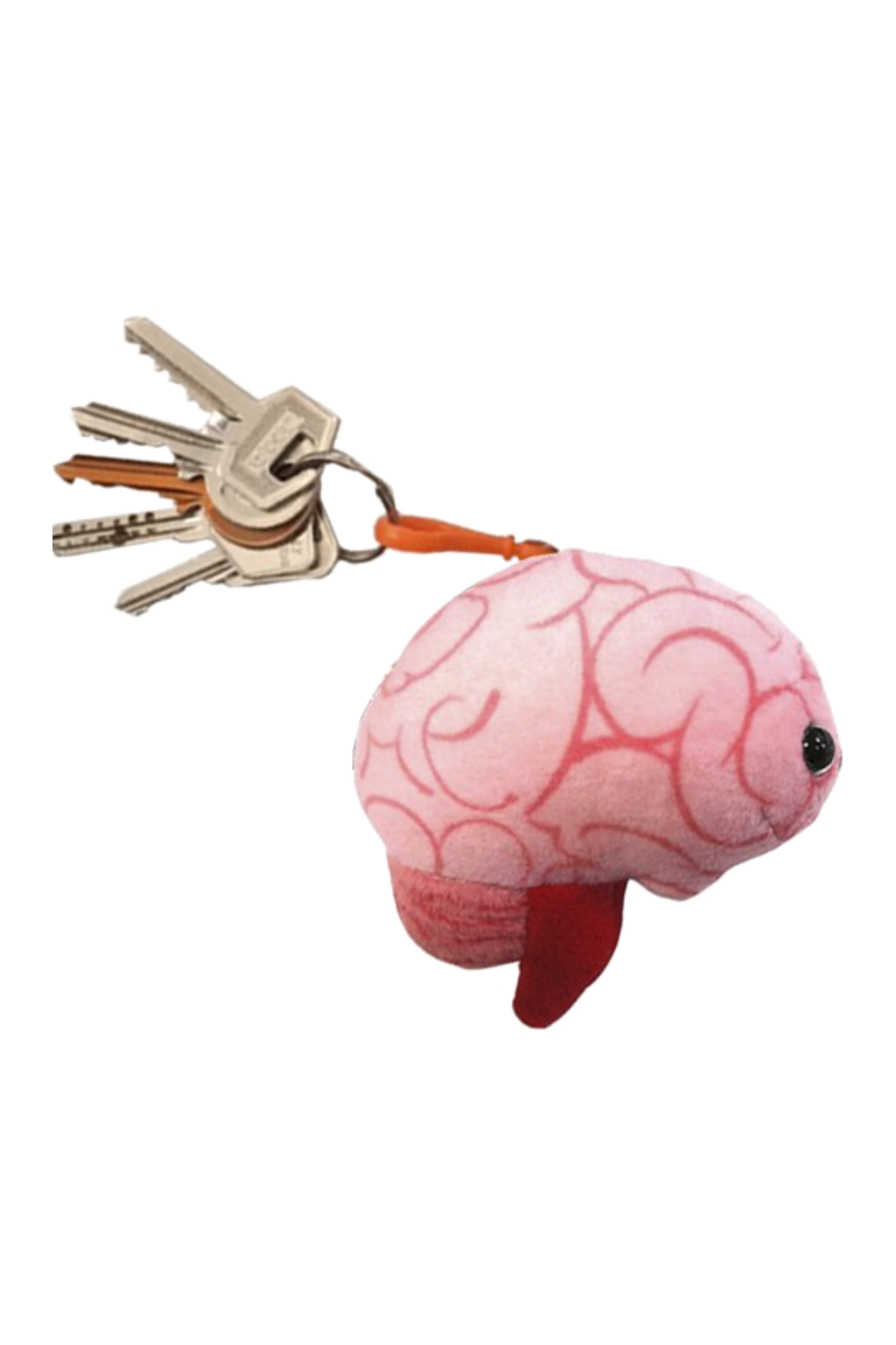 Enfermania Regalos Cerebro porte-clés peluche polyester