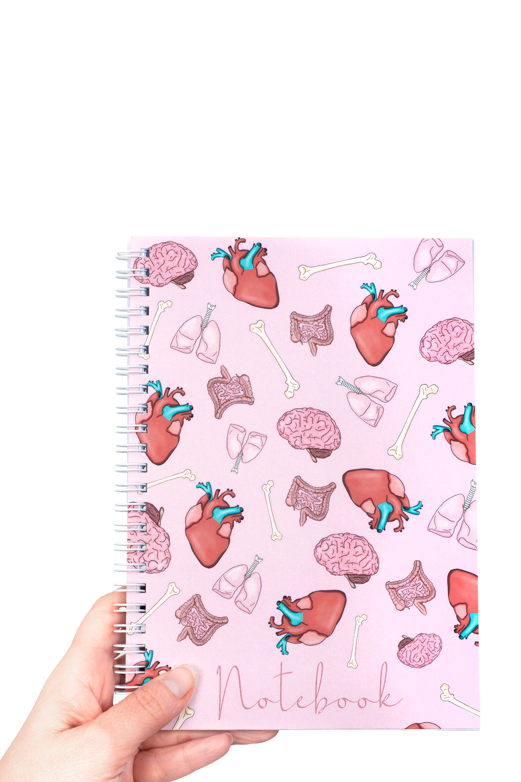 Enfermania Papelería Órganos carnet A5 organes médicaux