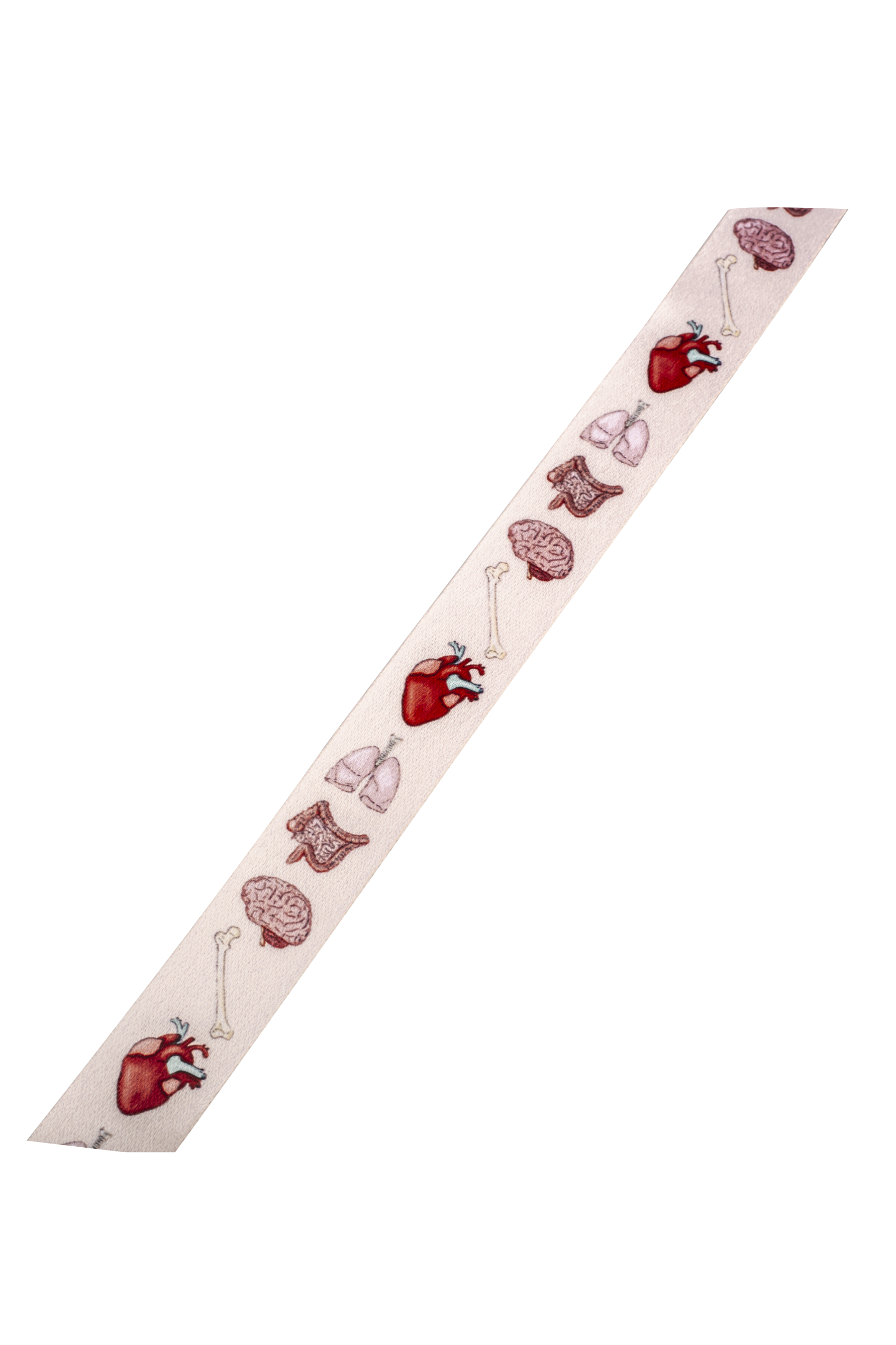 Enfermania Organs Collection lanyard tour de cou organes 57 cm