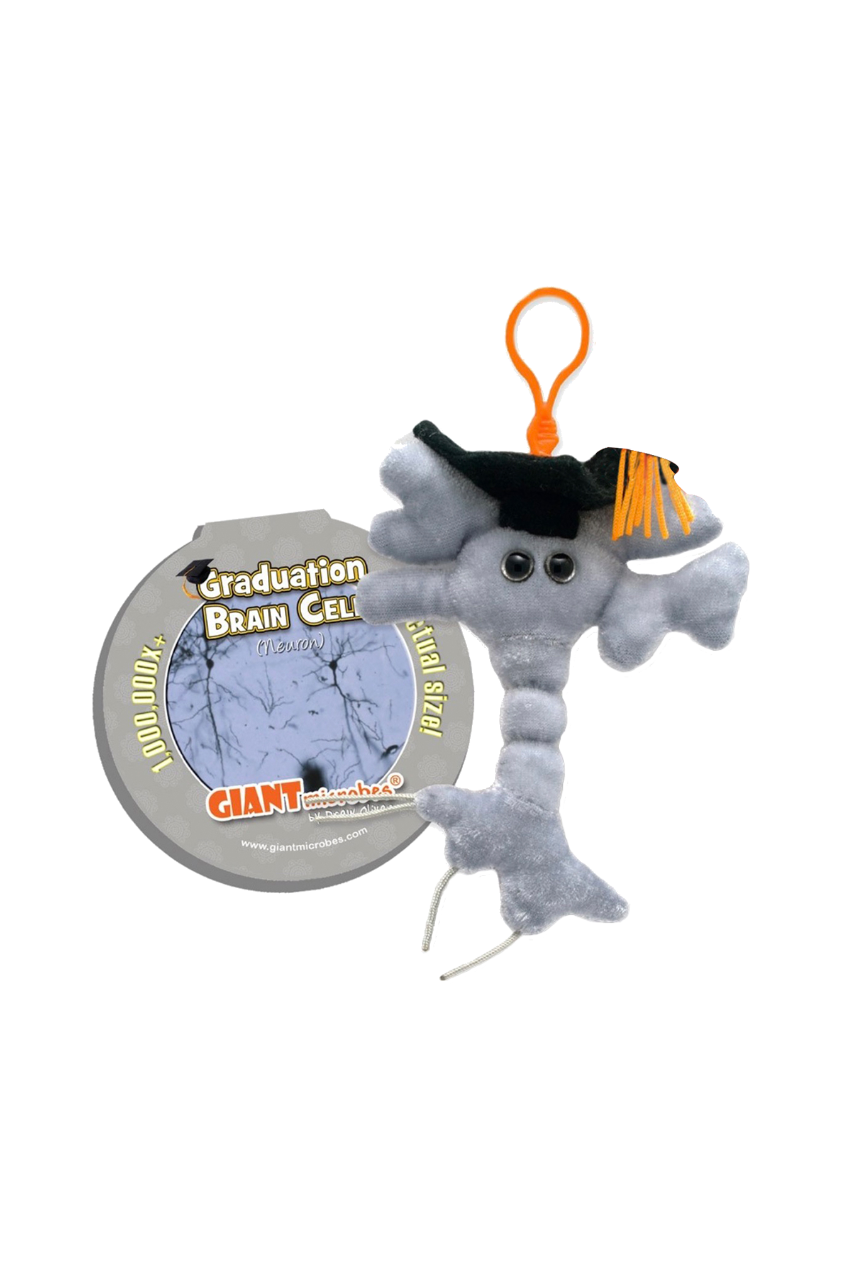 Enfermania Regalos porte-clés peluche neurone graduée 15 cm
