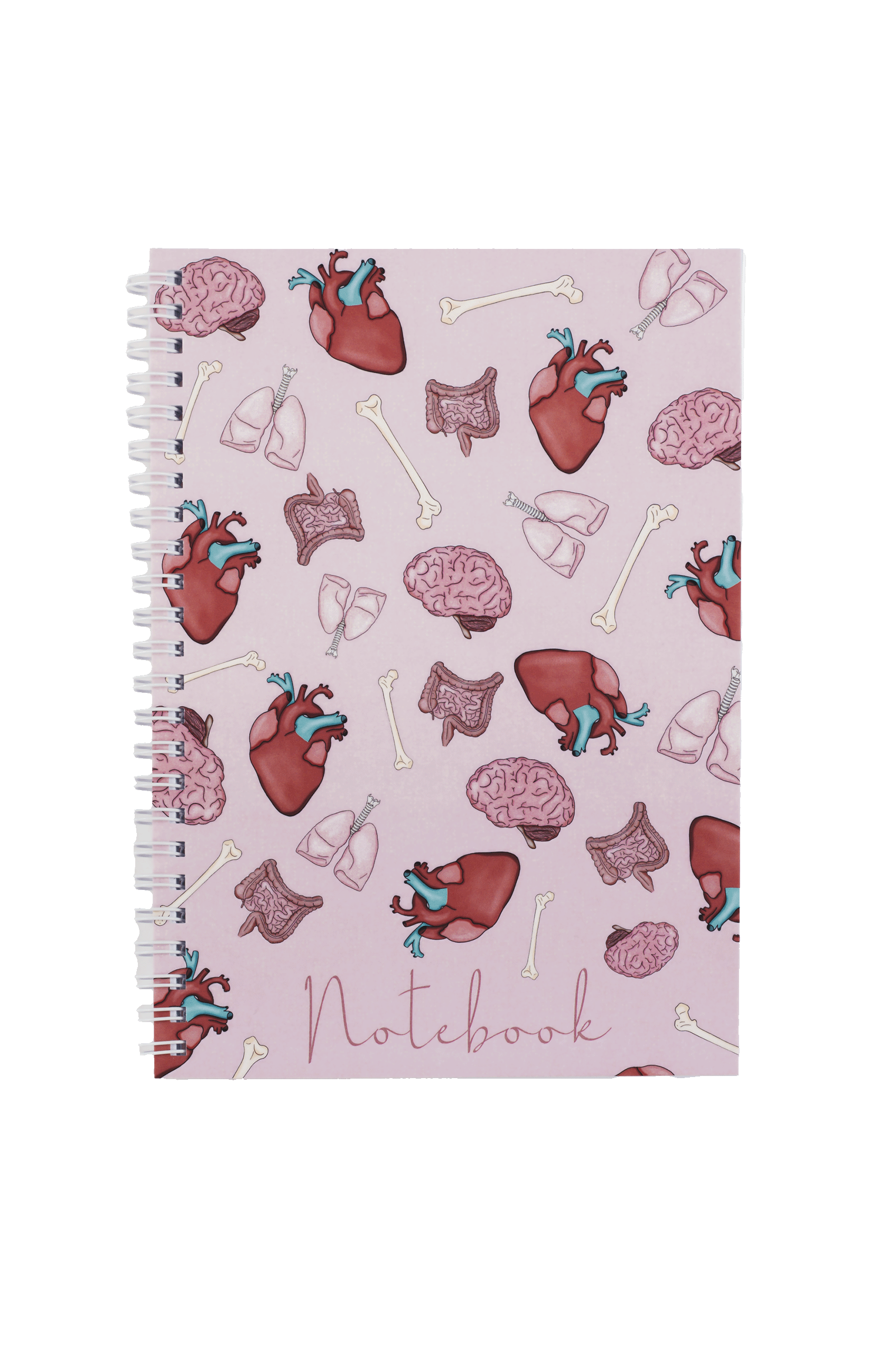 Enfermania Papelería Órganos carnet A5 organes médicaux