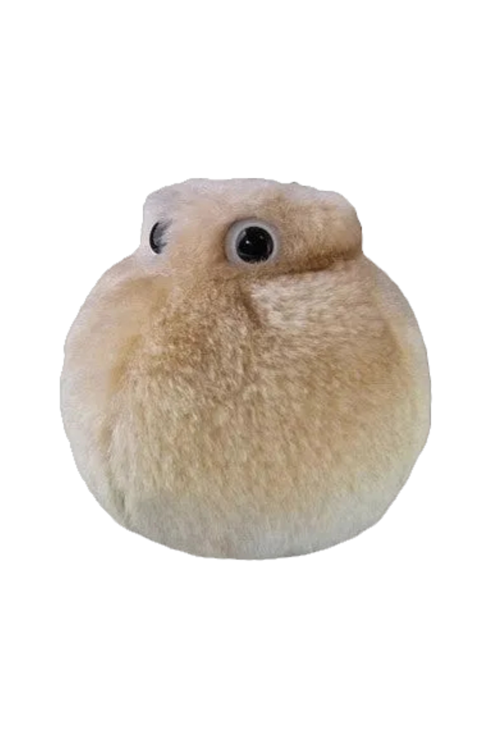 Enfermania Regalos peluche adipocyte Giantmicrobes