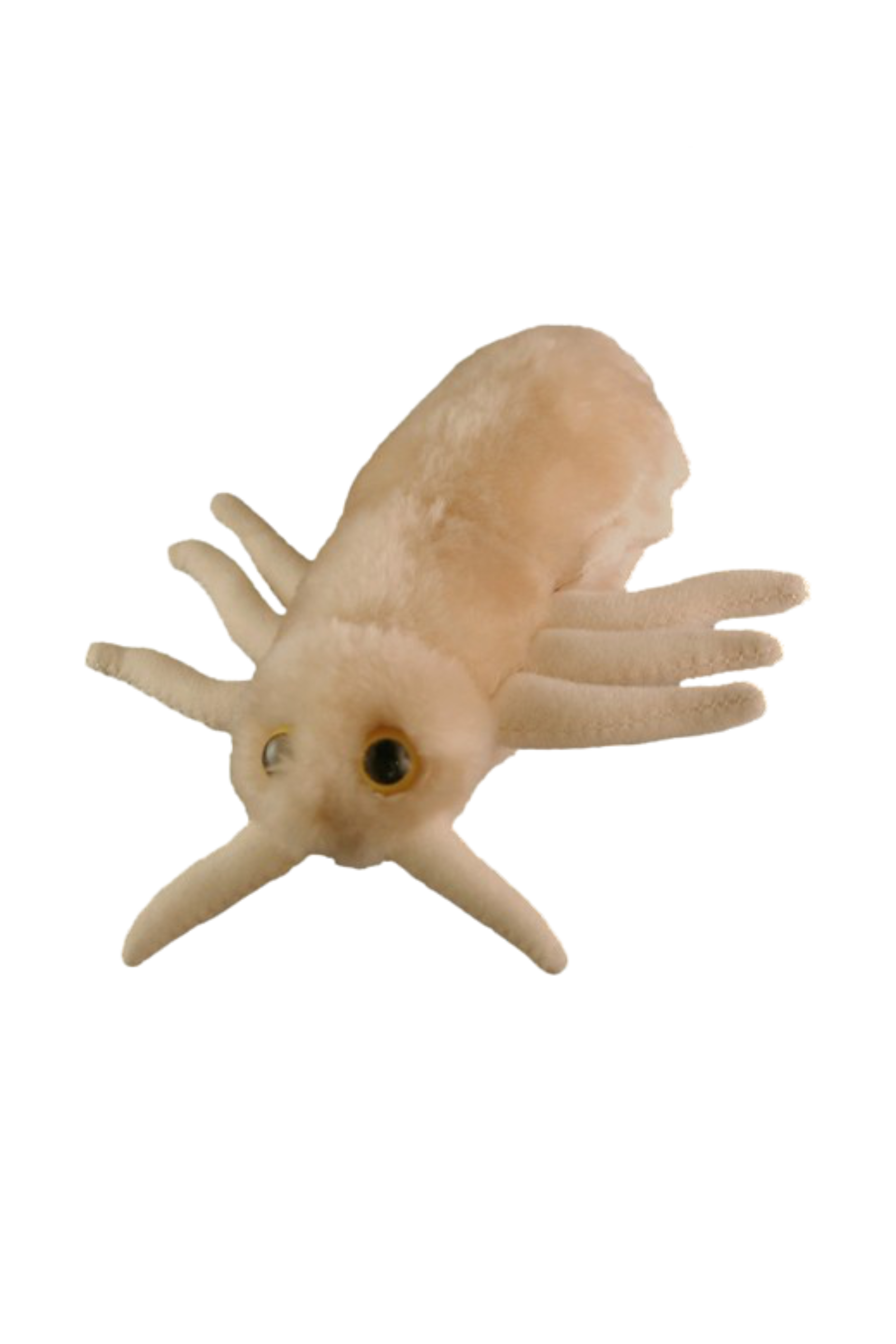 Enfermania Regalos Peluche pou Pediculus Capitis 18 cm