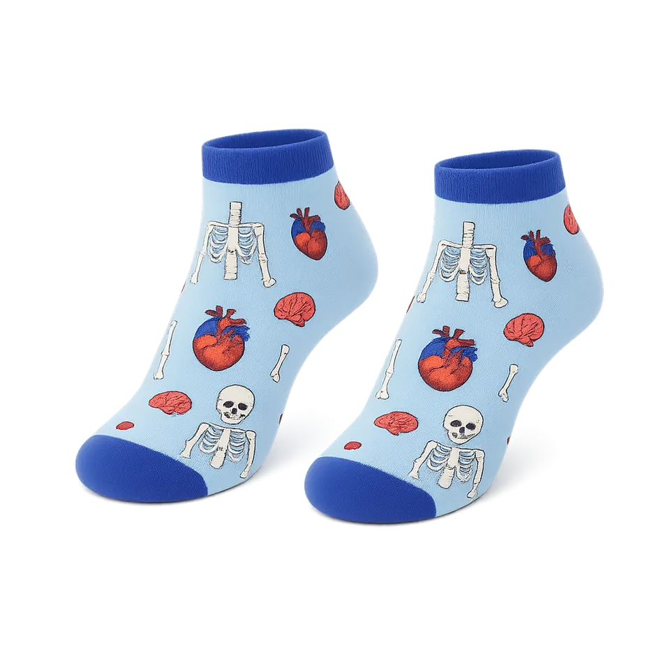 Enfermania Anatomía chaussettes courtes organes 36-40 / 41-46