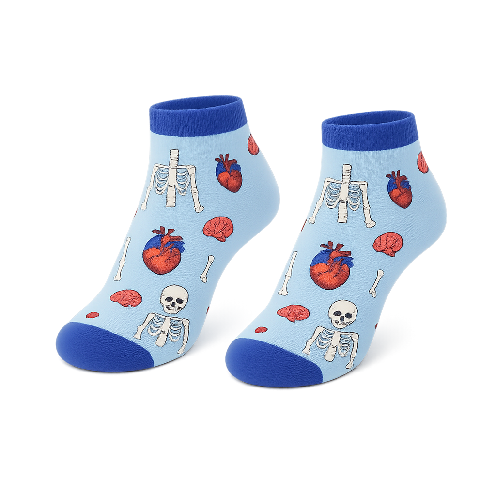 Enfermania Anatomía chaussettes courtes organes 36-40 / 41-46