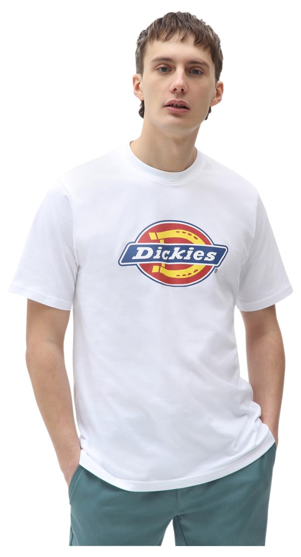 Dickies Icon Logo Tee T-shirt homme noir coton