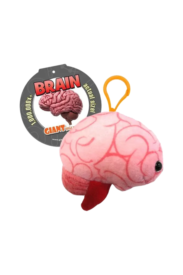Enfermania Regalos Cerebro porte-clés peluche polyester