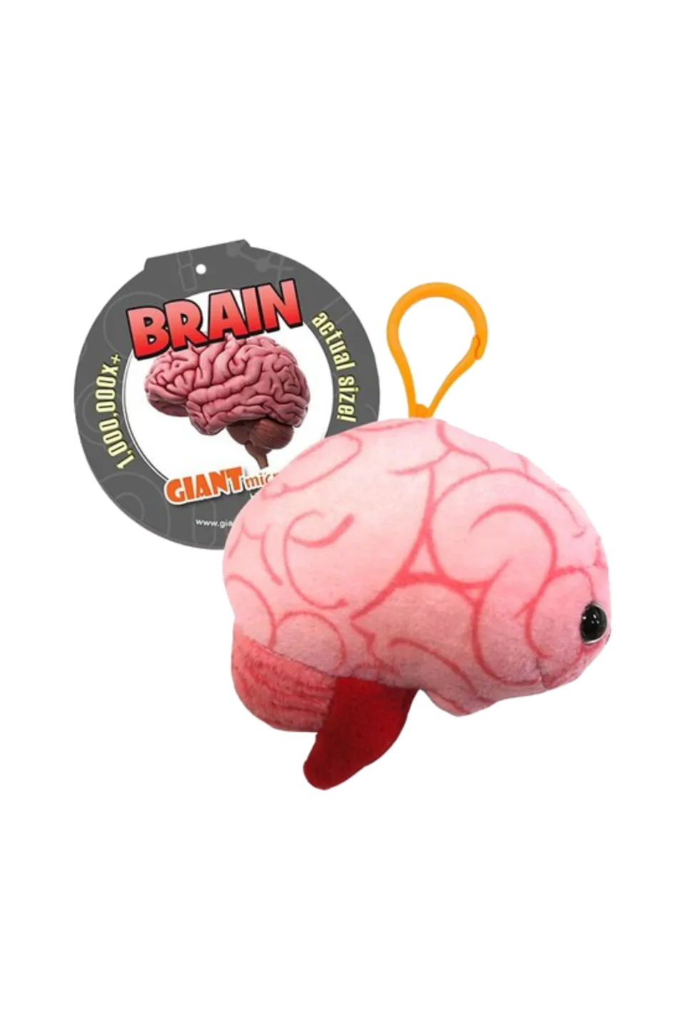 Enfermania Regalos Cerebro porte-clés peluche polyester
