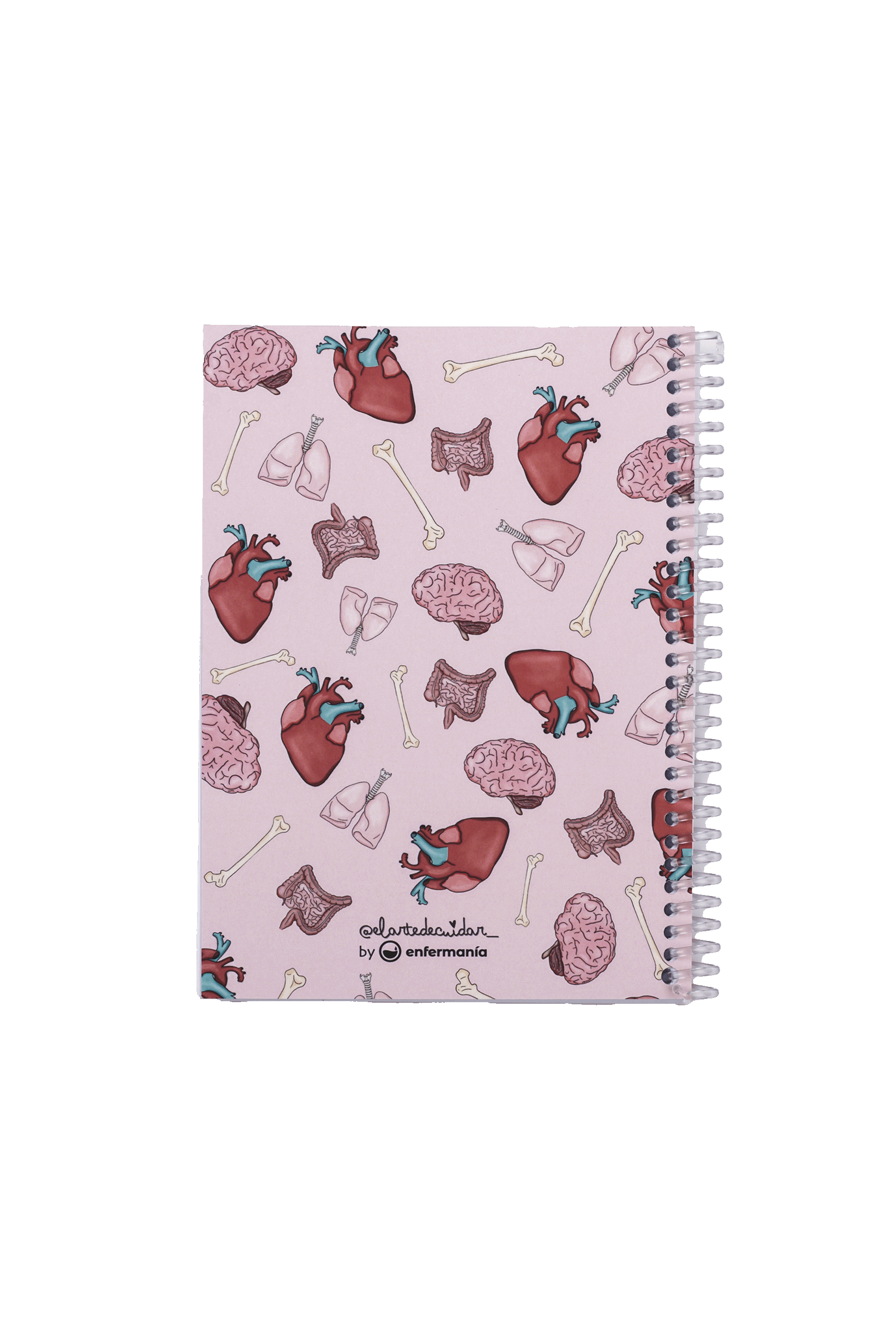 Enfermania Papelería Carnet A6 Organes 50 pages poche