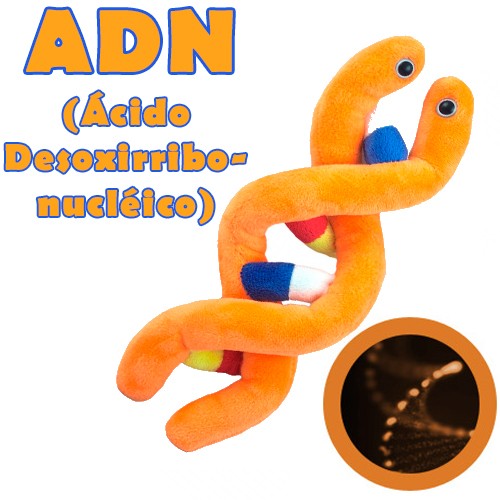 Enfermania ADN peluche microbe géant 26 cm polyester