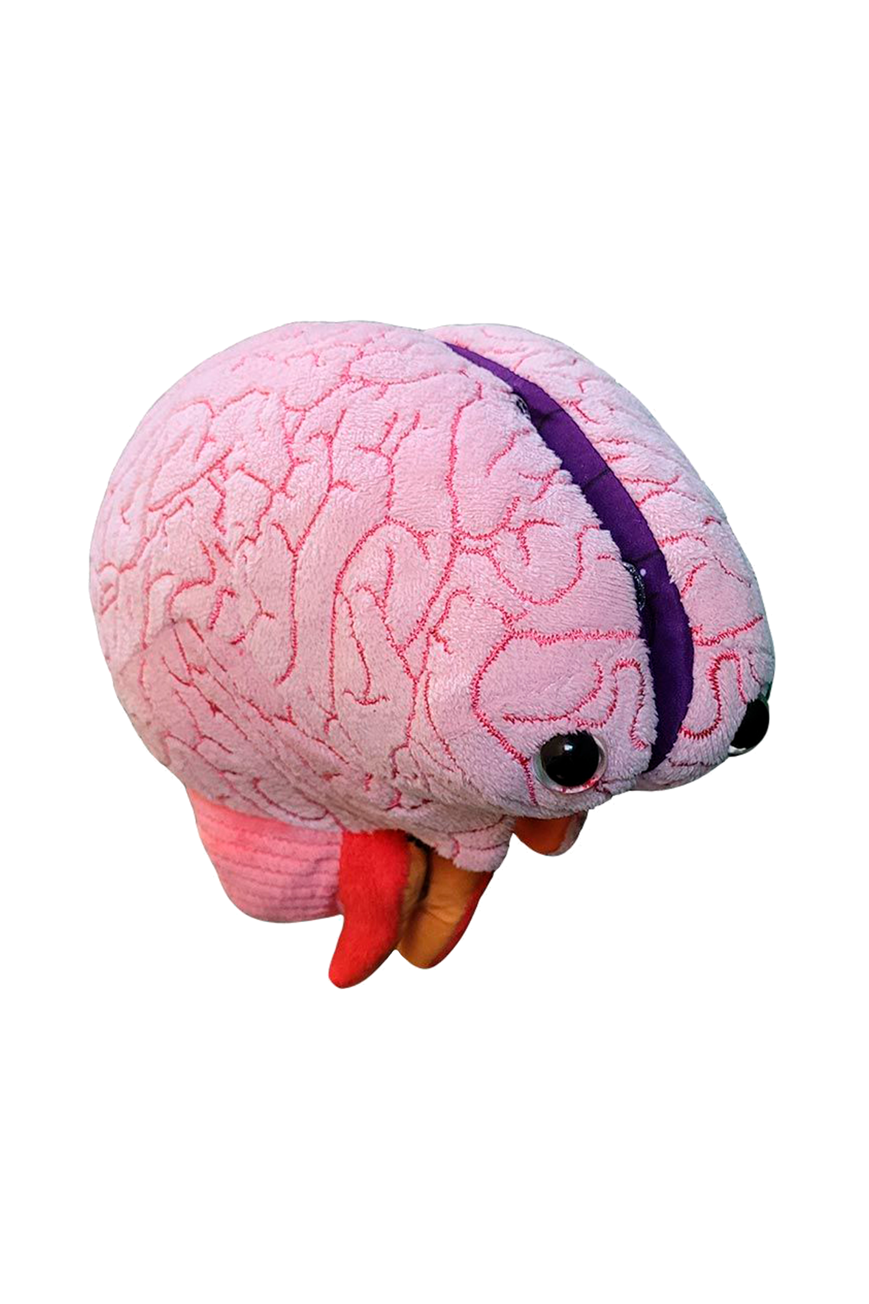 Enfermania Regalos peluche cerveau GIANTmicrobes cerveau