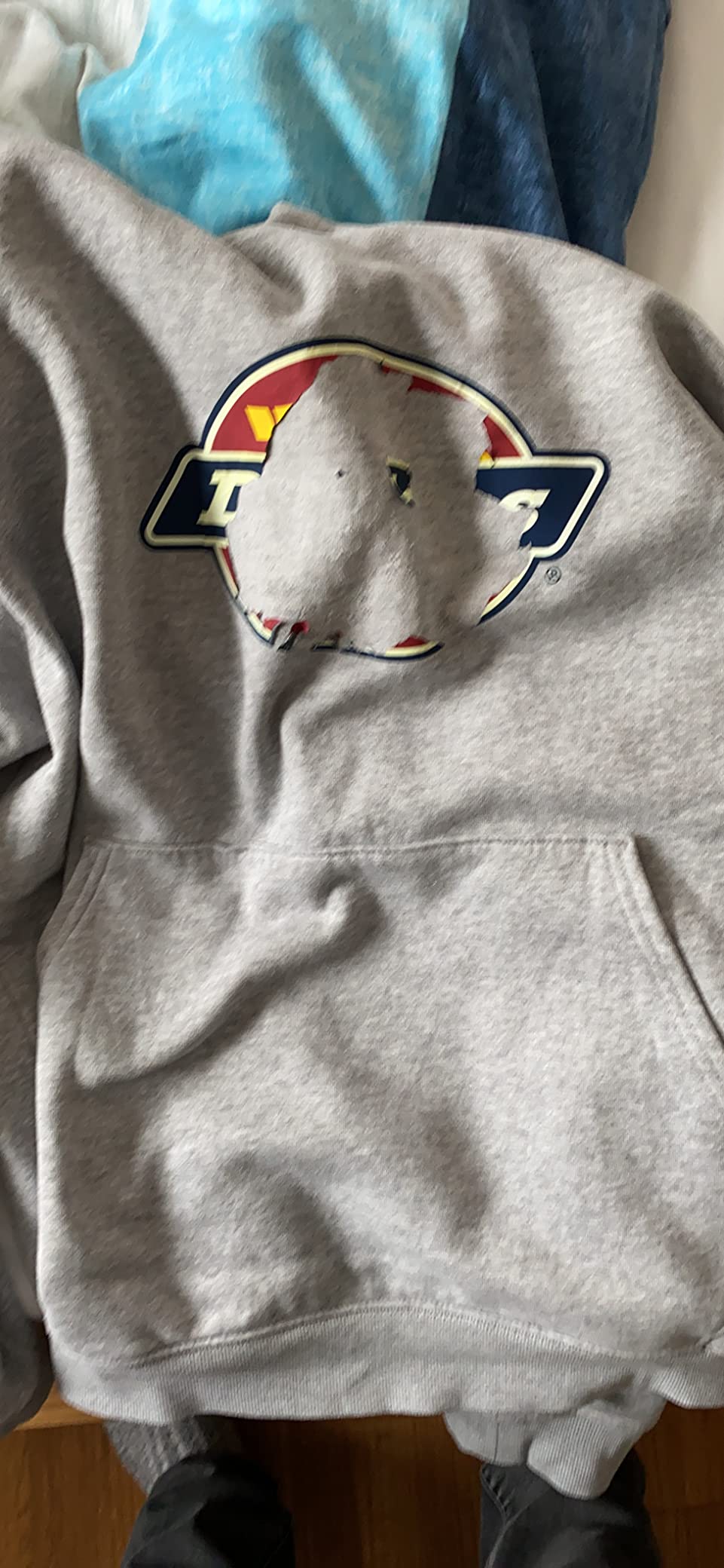 Dickies Front Logo sweat capuche homme gris XXL polaire