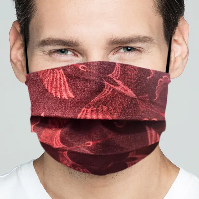ILKOTT AA83 #0023 masque tissu imprimé lot de 2