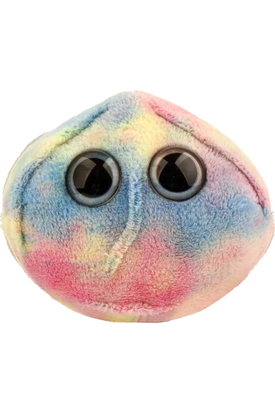 Enfermania Regalos Celula Madre peluche cellule souche
