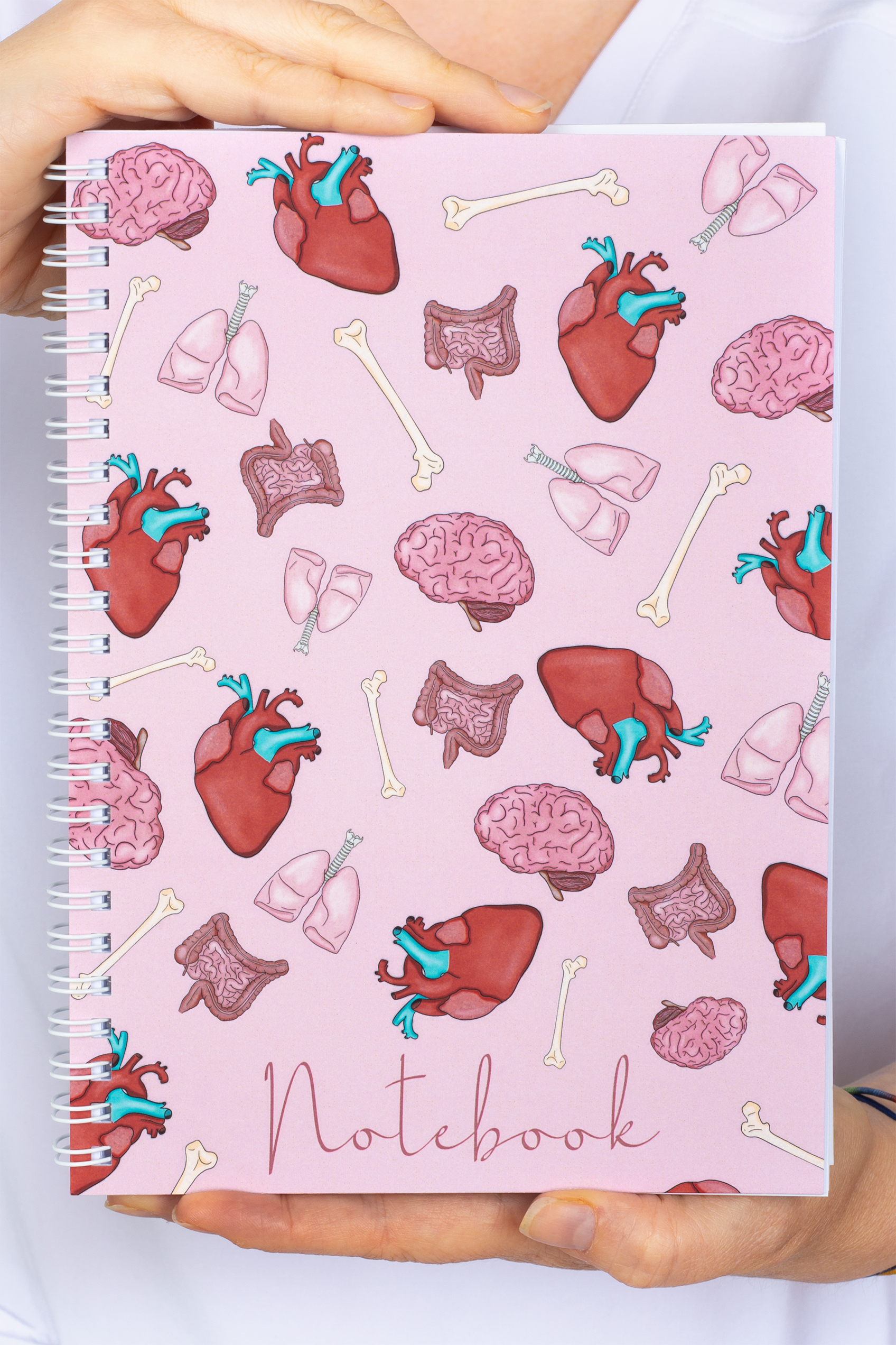 Enfermania Papelería Órganos carnet A5 organes médicaux
