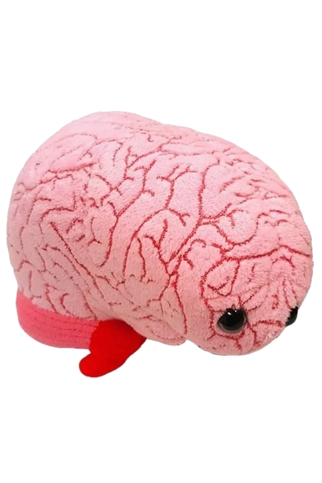 Enfermania Regalos Cerveau peluche 19 cm polyester