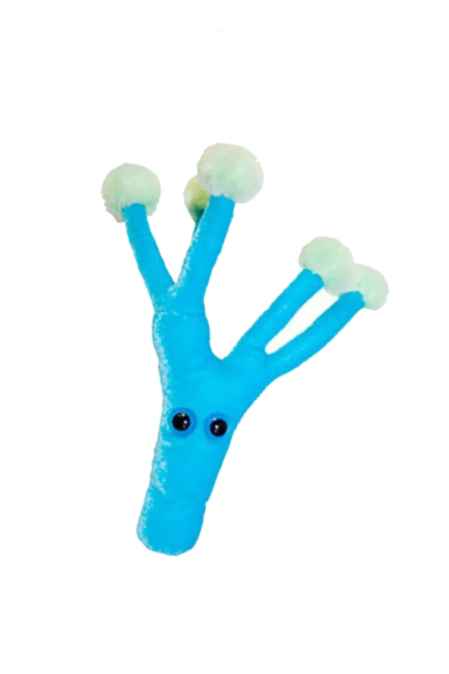 Enfermania Regalos Penicilina peluche pénicilline microbe