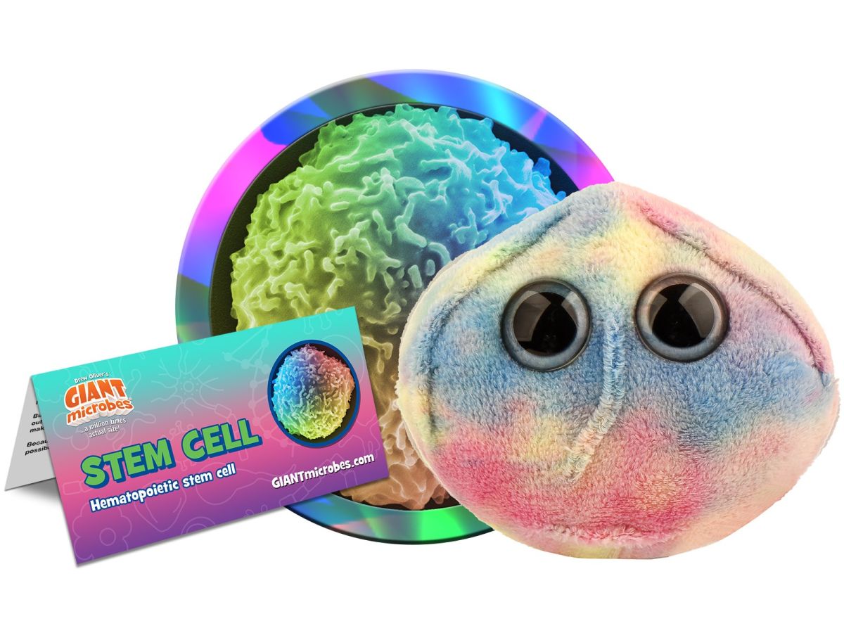 Enfermania Regalos Celula Madre peluche cellule souche