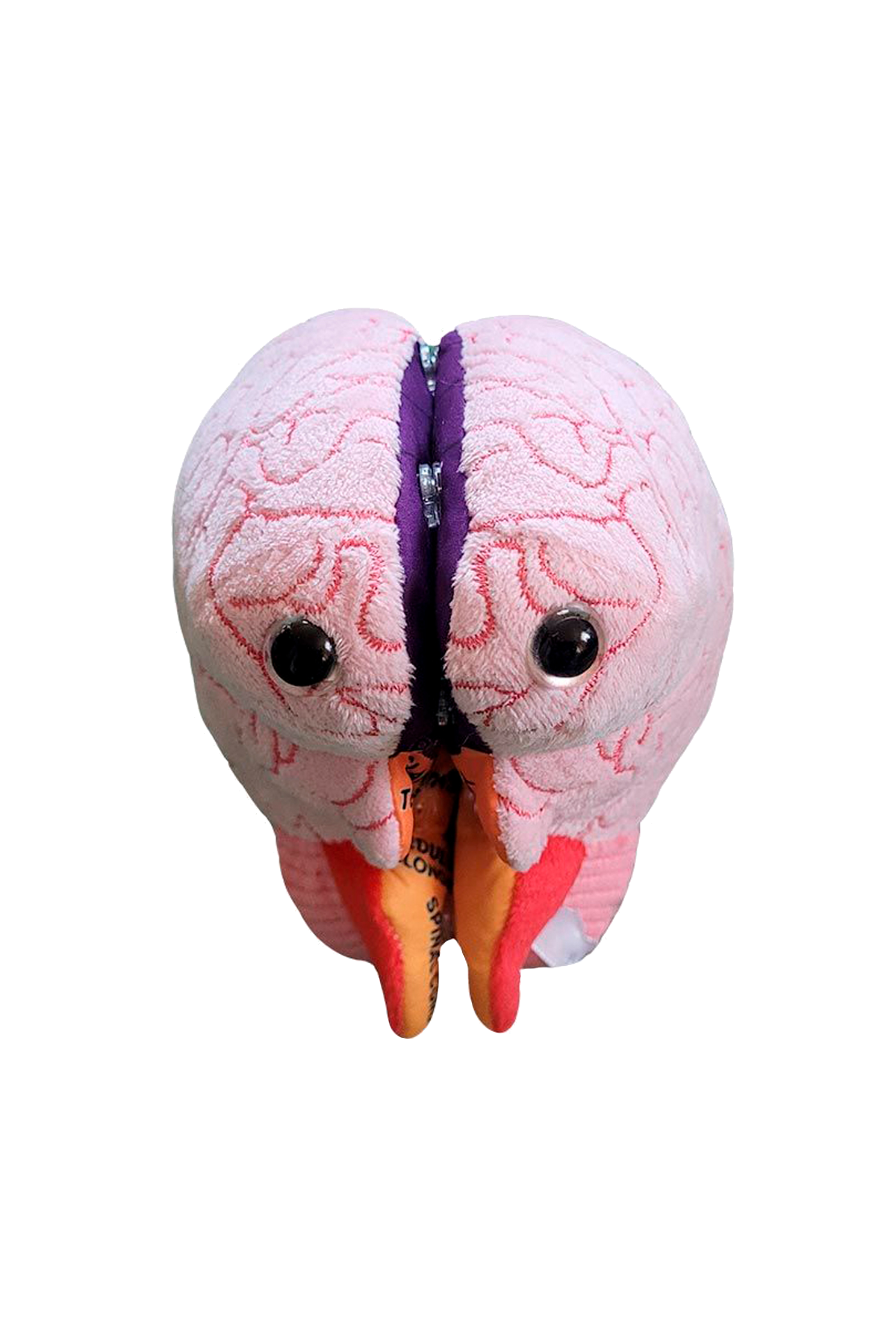 Enfermania Regalos peluche cerveau GIANTmicrobes cerveau