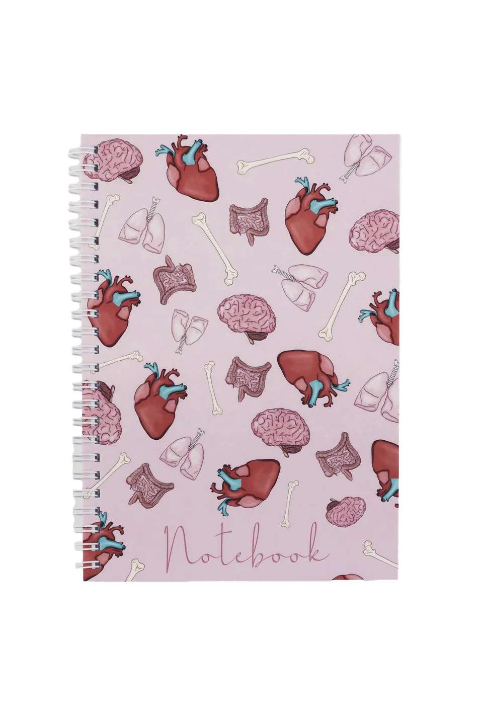Enfermania Papelería Órganos carnet A5 organes médicaux