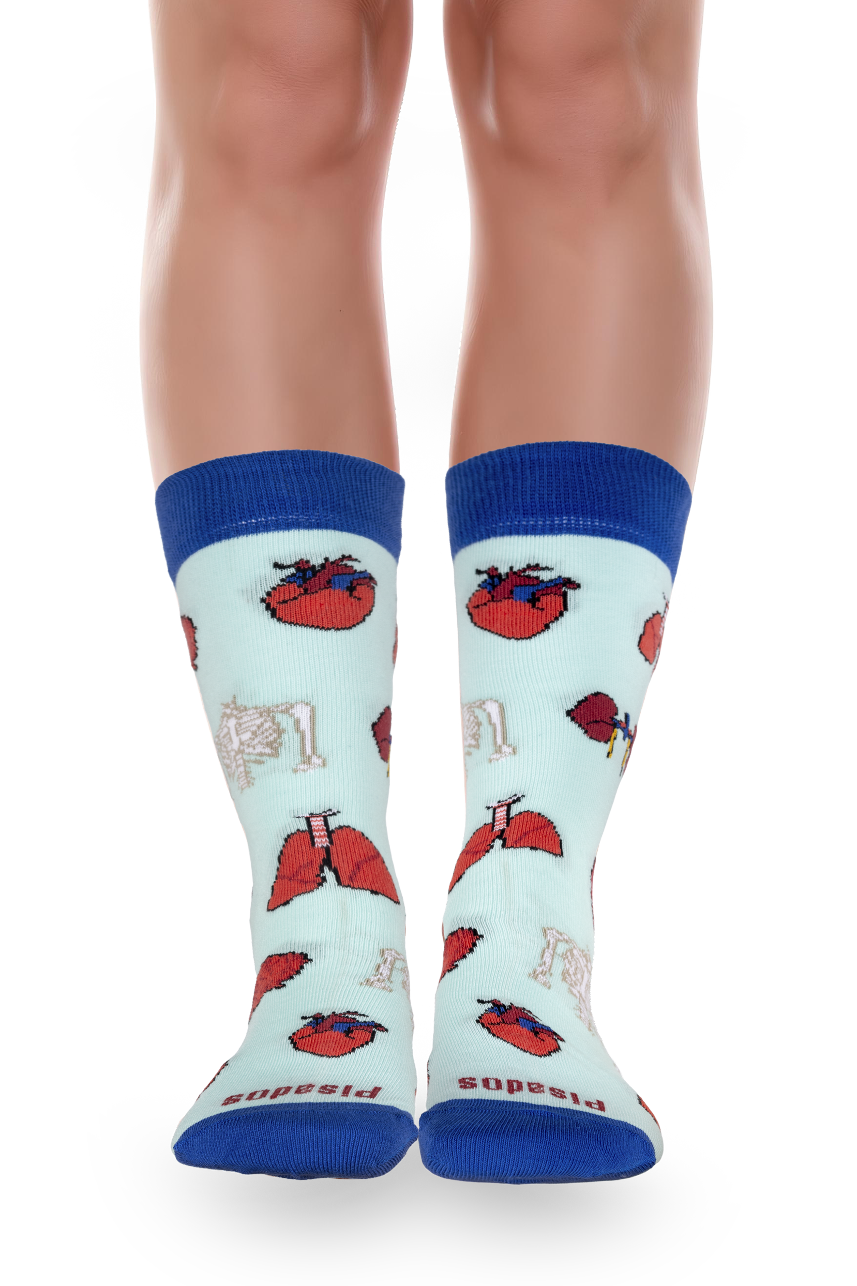 Enfermania Ropa Anatomía chaussettes organes taille 36-46