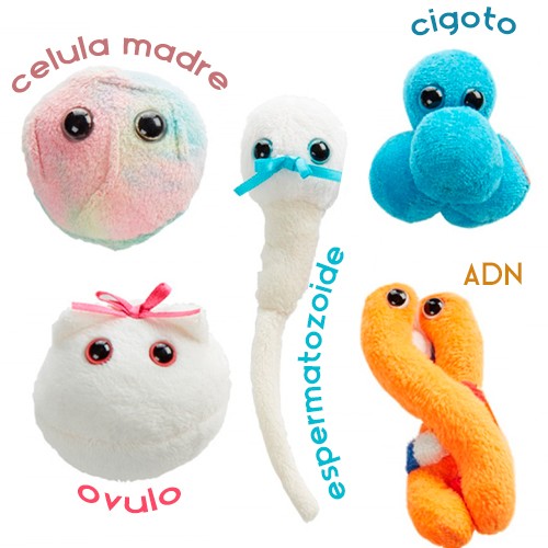 Enfermania Regalos Let's Get It On peluche coffret 5 pièces humour