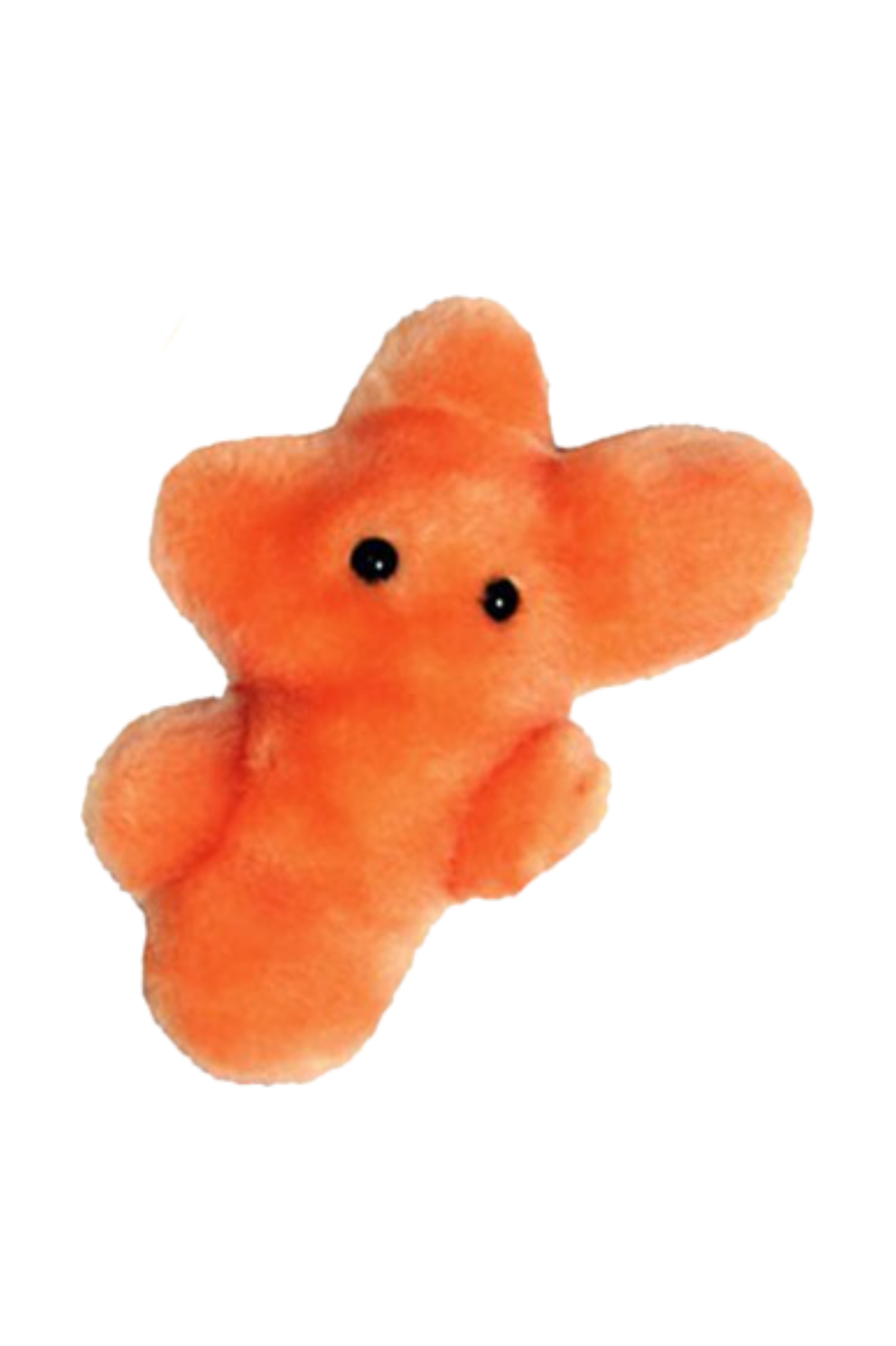 Enfermania Regalos Peluche Microbe Trichophyton Pied Athlète