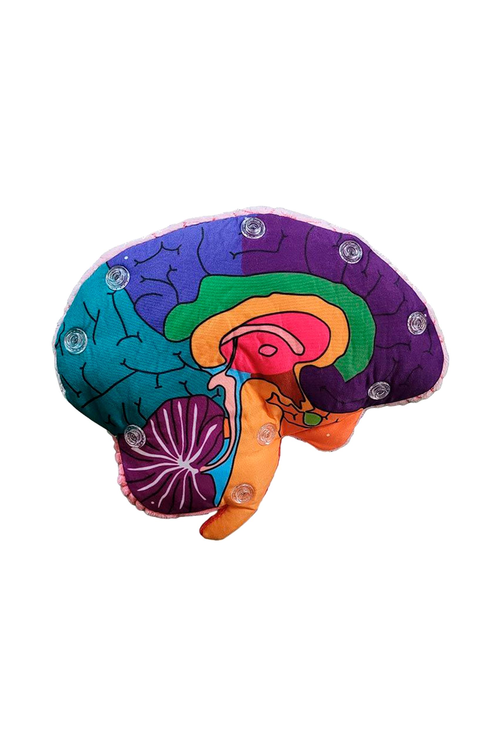Enfermania Regalos peluche cerveau GIANTmicrobes cerveau