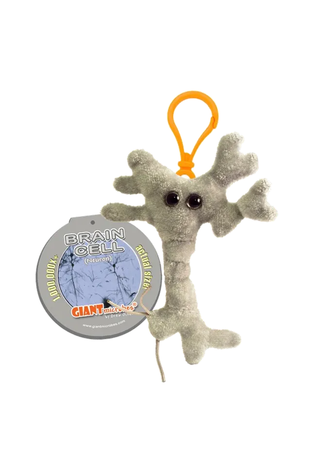 Enfermania Regalos porte-clés neurone géant polyester 5-10 cm