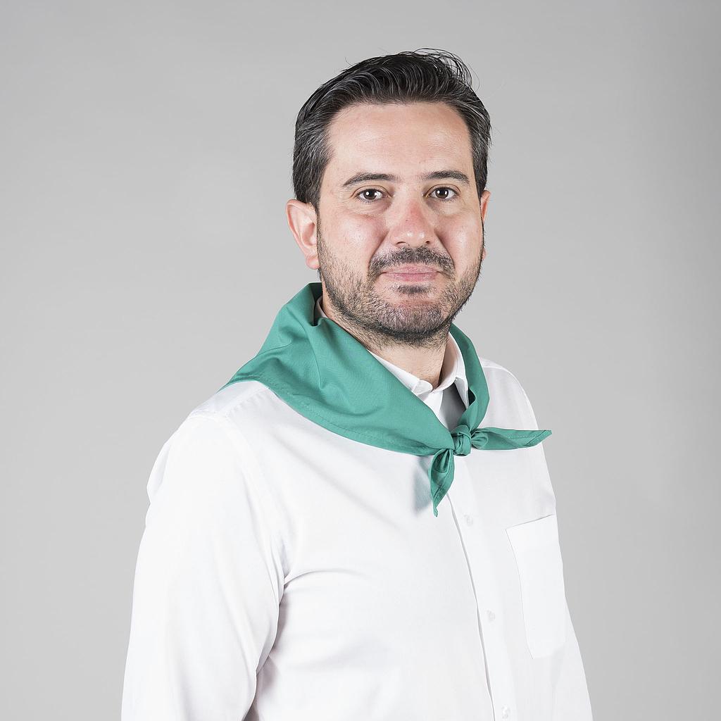 Foulard Gary's Pico lot 6 vert triangulaire pro