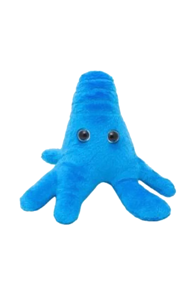Enfermania GiantMicrobes peluche Amoeba Proteus amibe