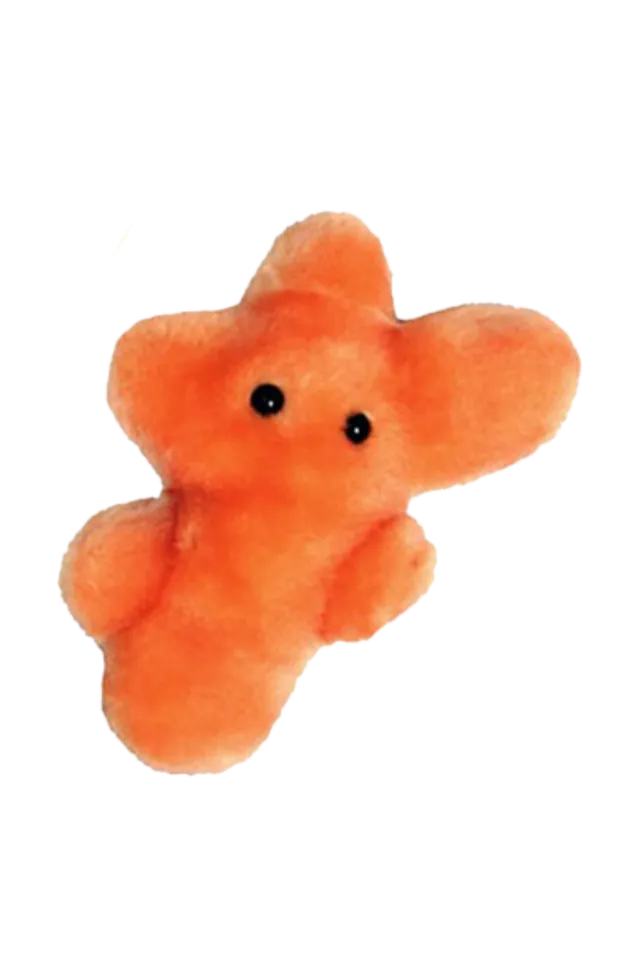 Enfermania Regalos Peluche Microbe Trichophyton Pied Athlète