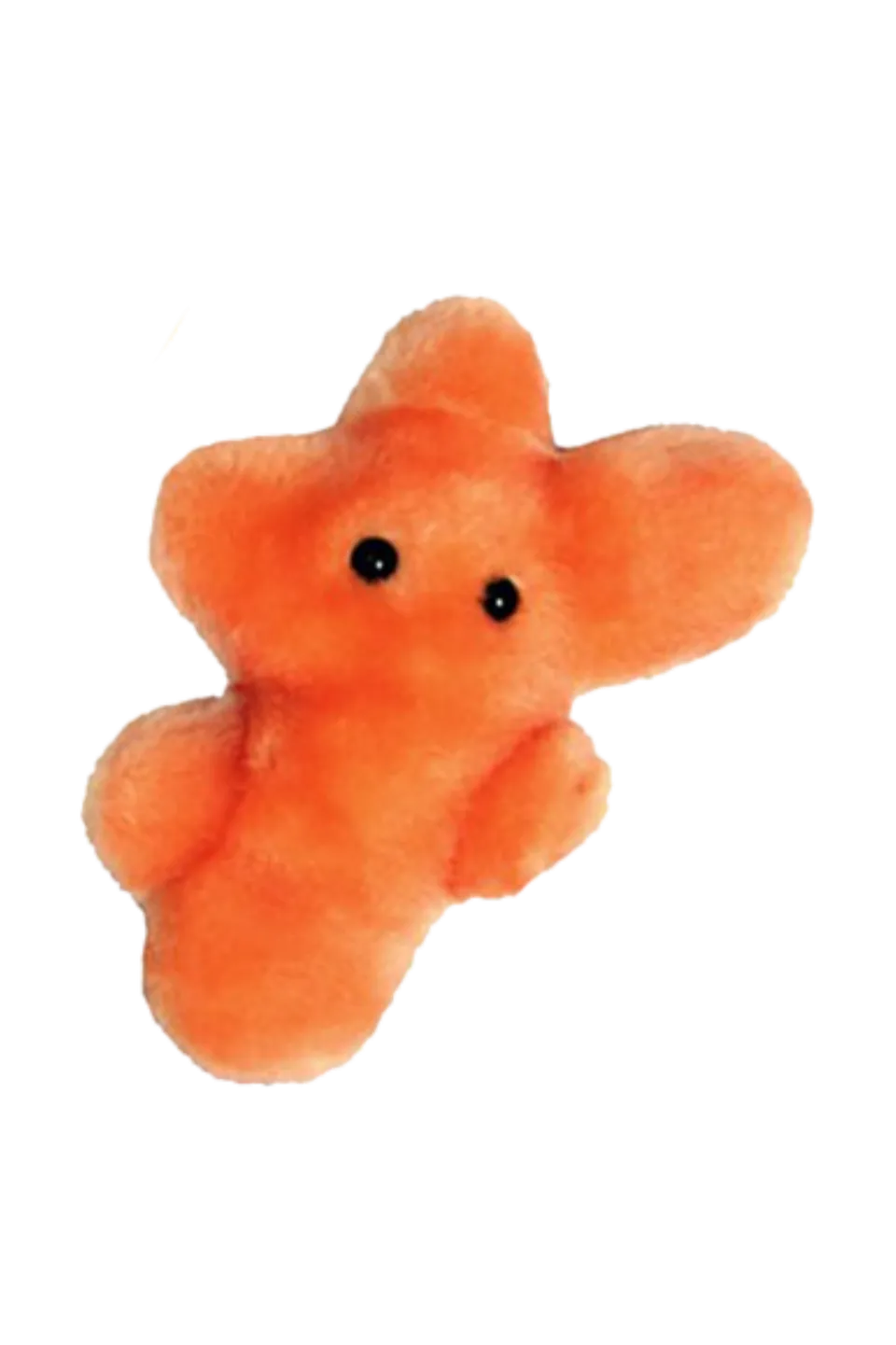 Enfermania Regalos Peluche Microbe Trichophyton Pied Athlète