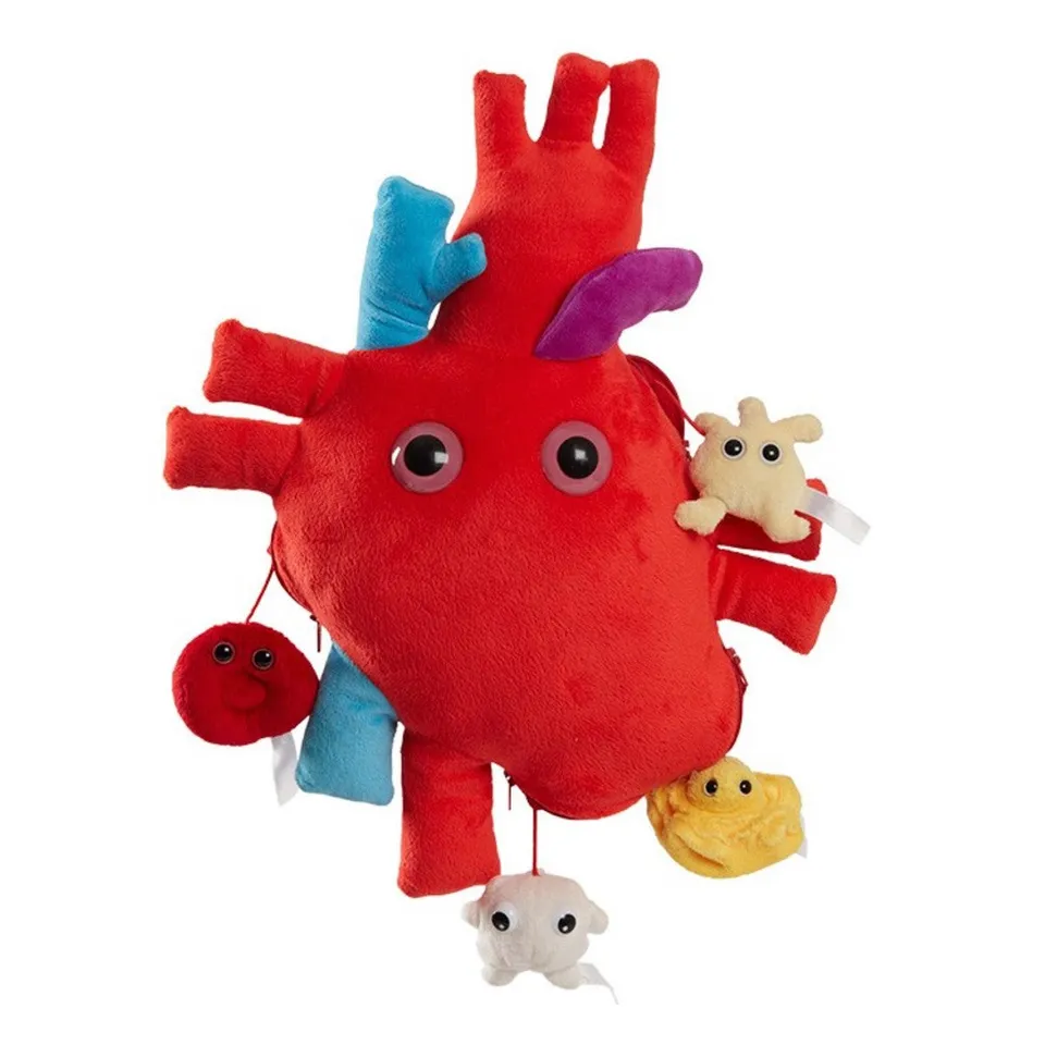 Enfermania Regalos Cœur XL peluche 38 cm modèle anatomique