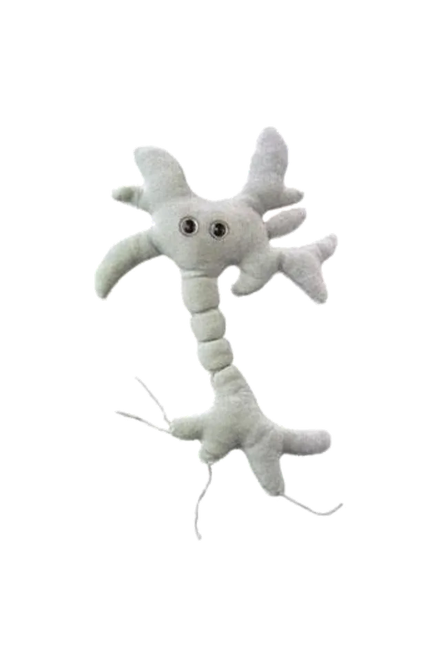 GiantMicrobes peluche Neurone polyester 13-18 cm Enfermania