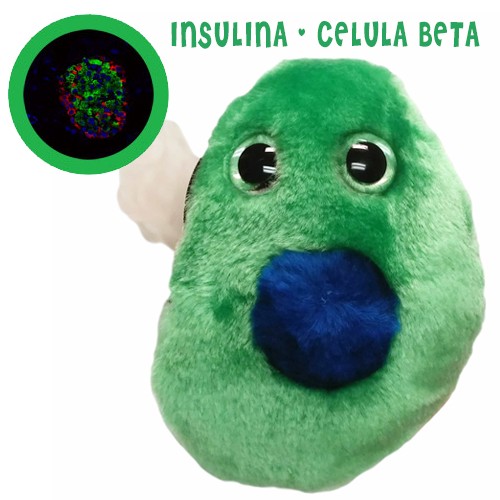 Enfermania Regalos Peluche Cellule Bêta insuline