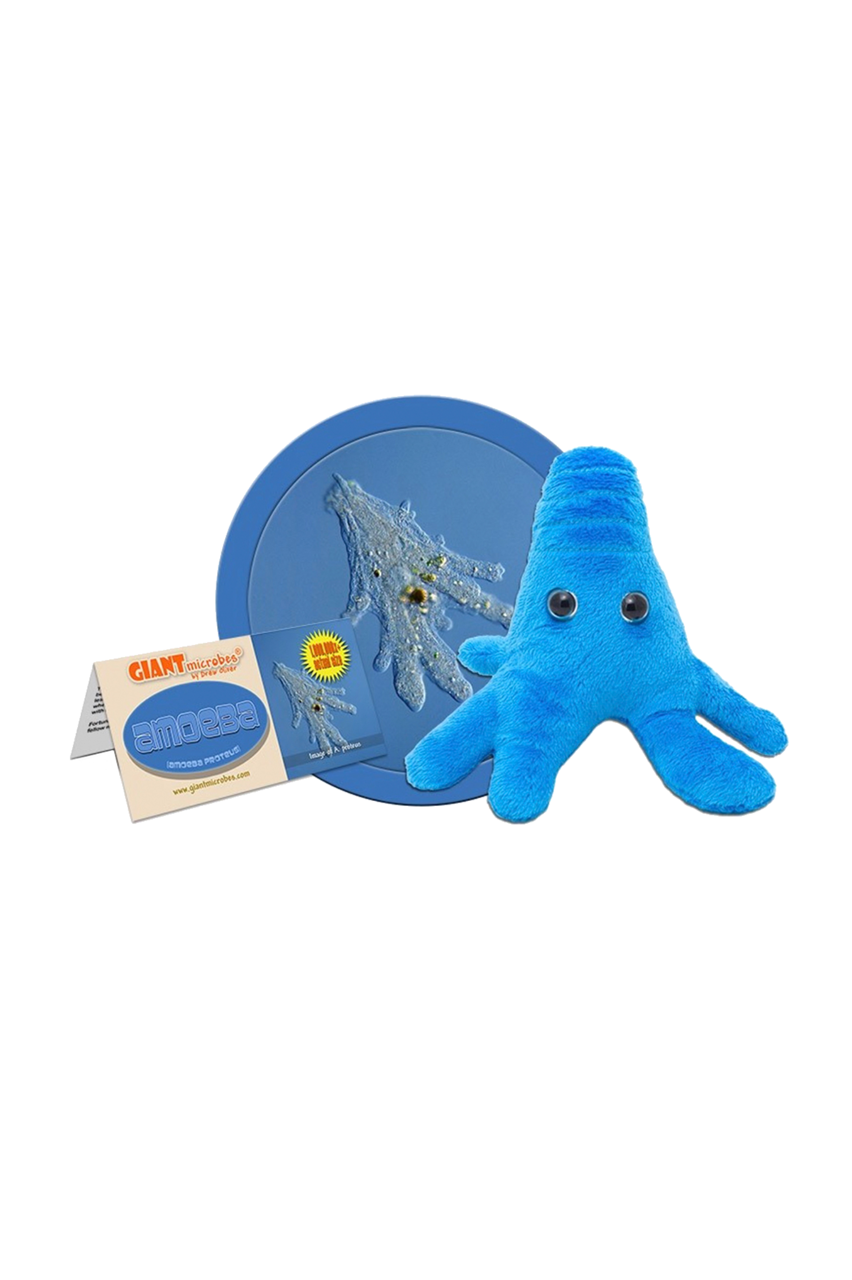 Enfermania GiantMicrobes peluche Amoeba Proteus amibe