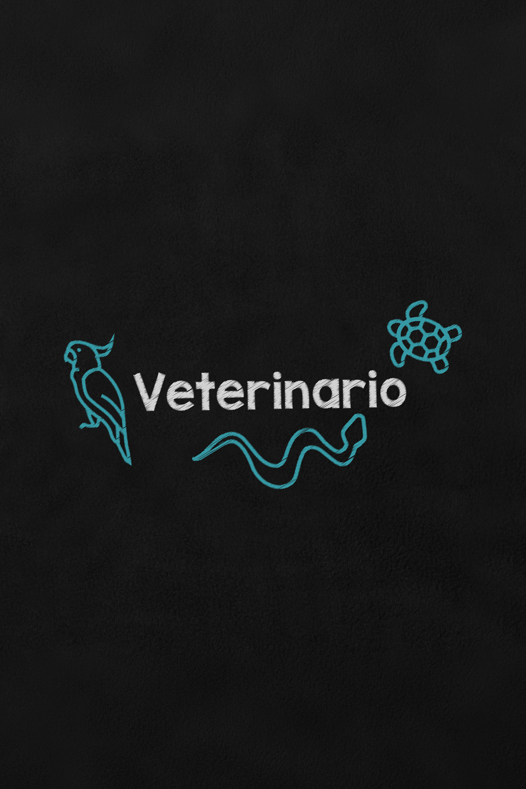 Enfermania Ropa polaire vétérinaire homme noir L