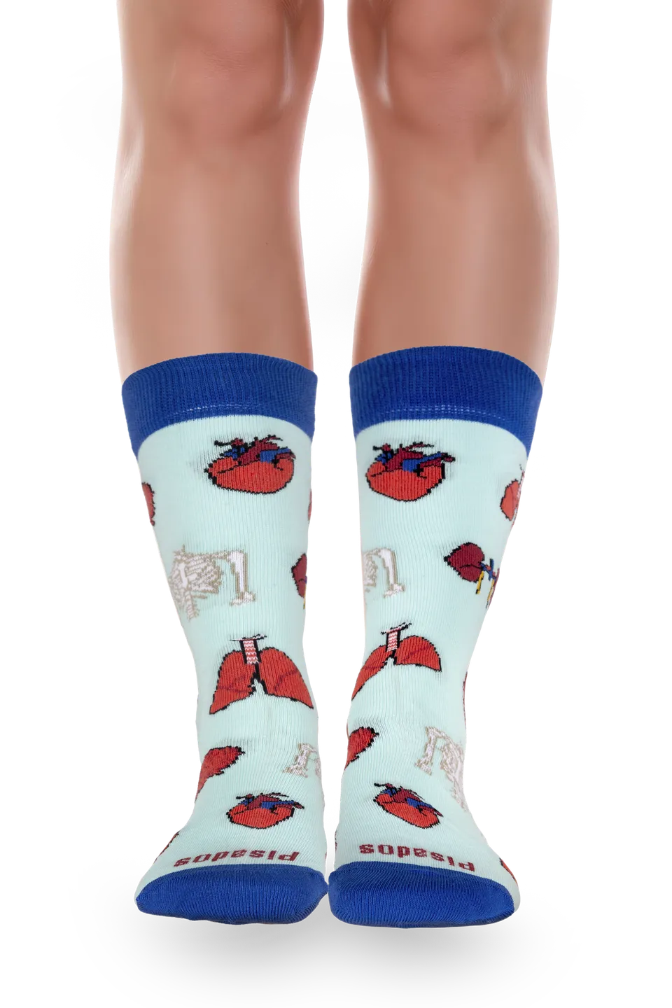 Enfermania Ropa Anatomía chaussettes organes taille 36-46