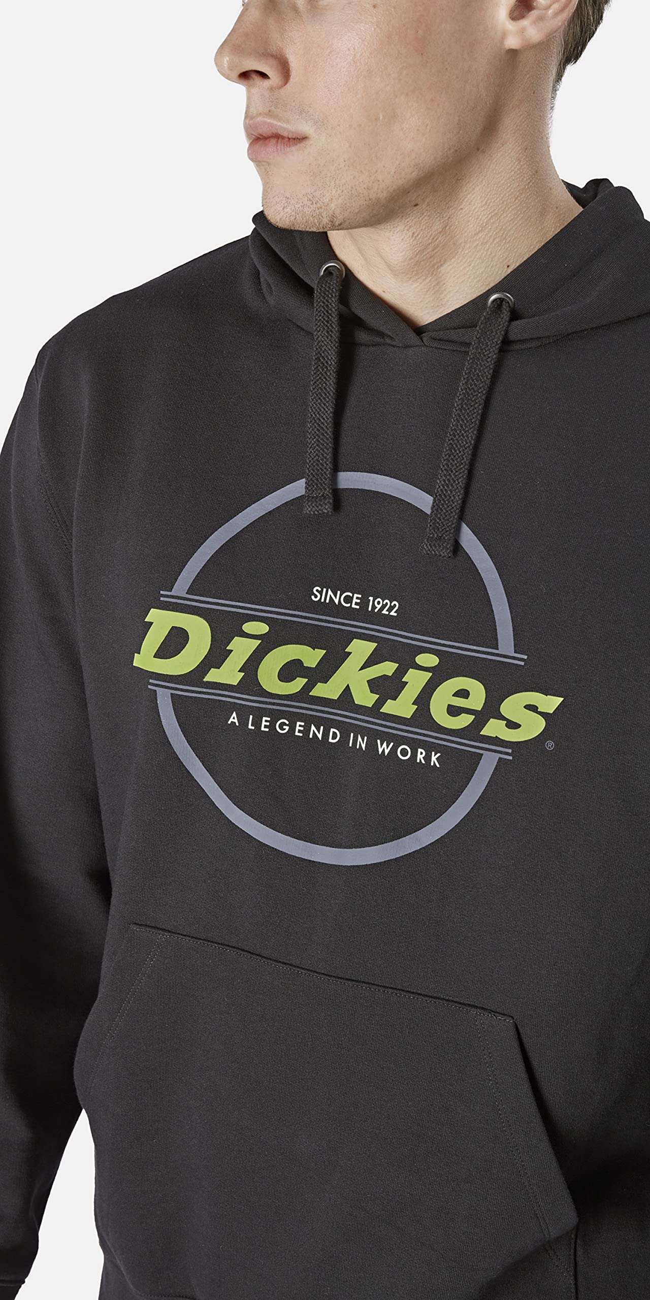 Dickies Towson sweat à capuche homme taille S