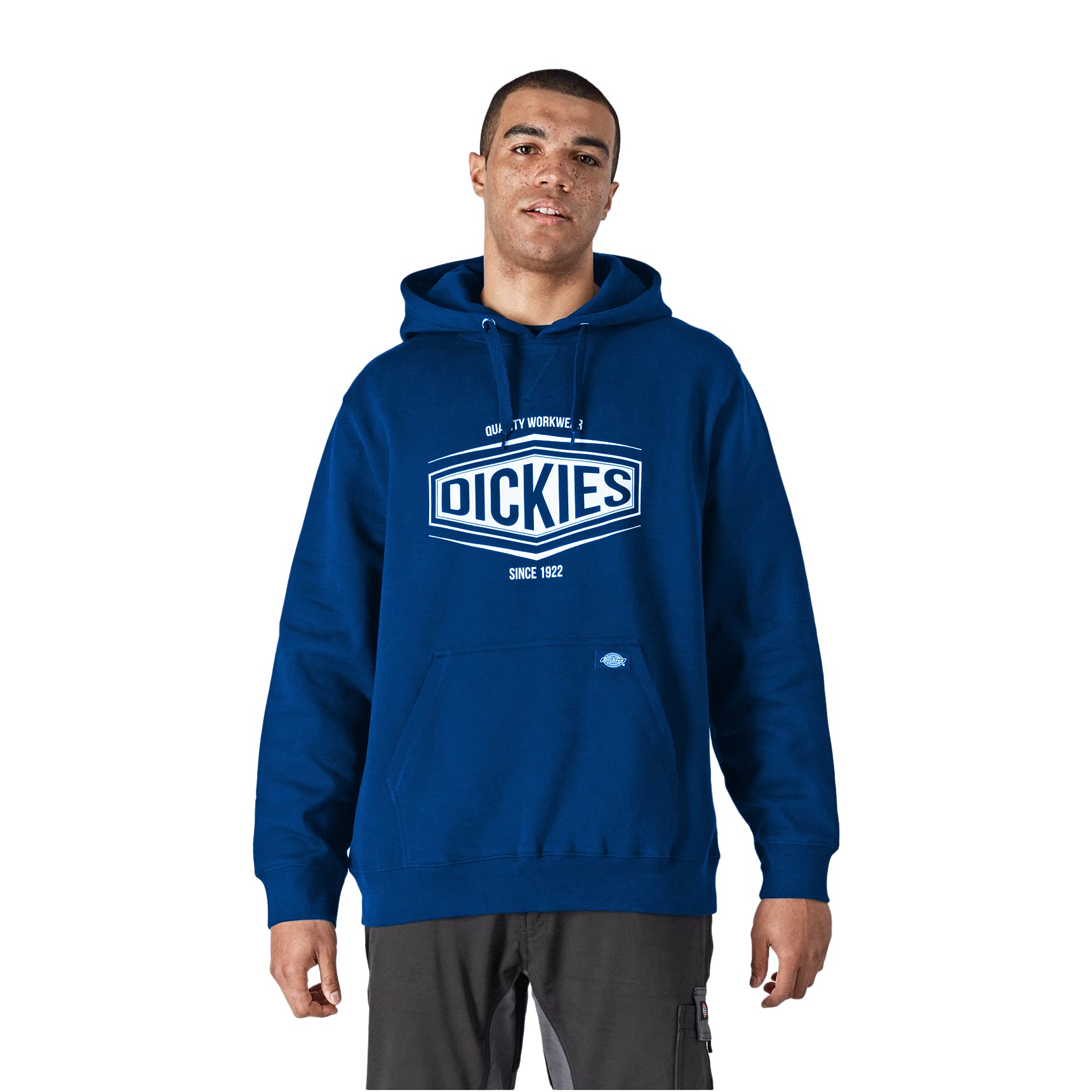 Dickies Rockfield sweat à capuche homme taille M coton