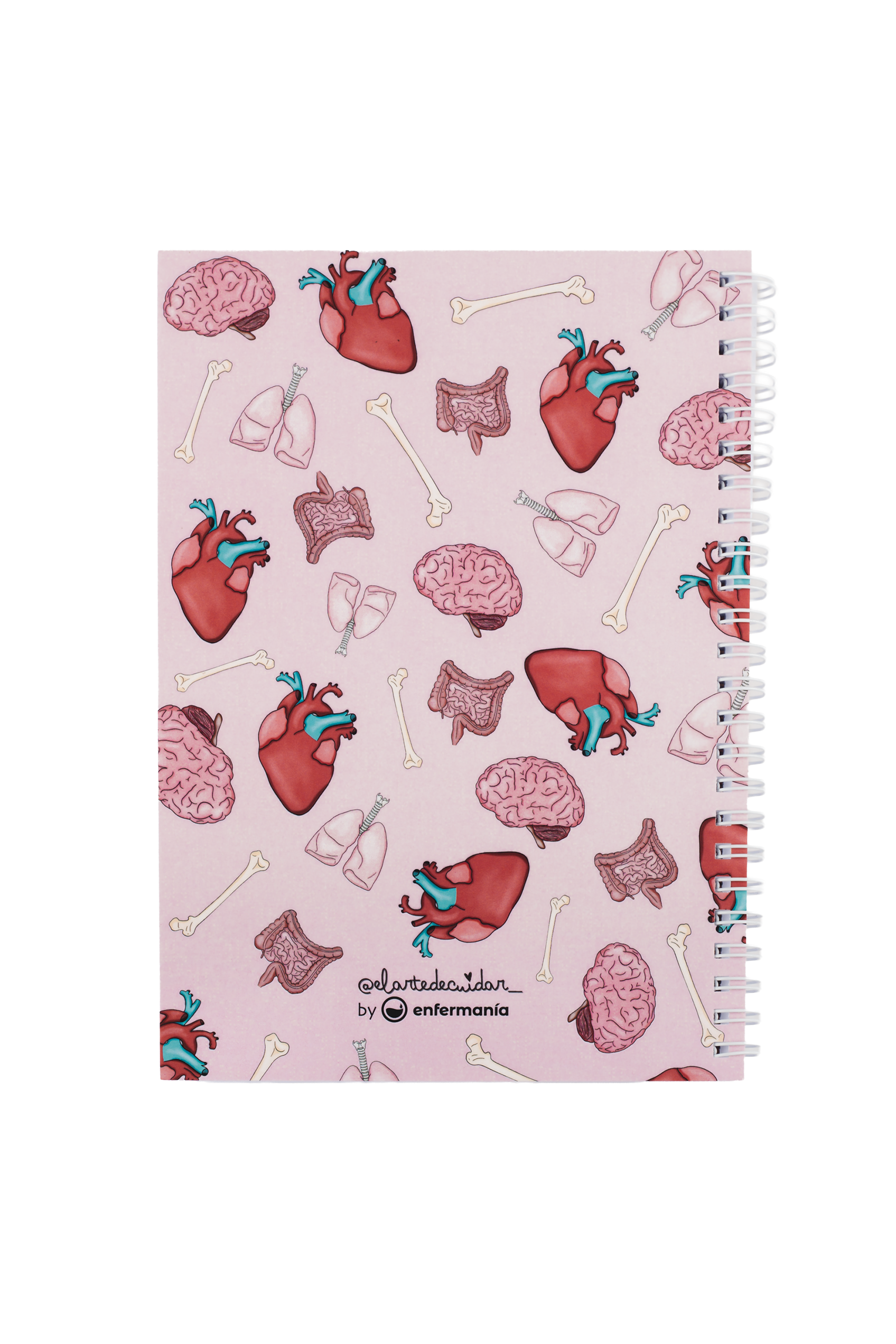 Enfermania Papelería Órganos carnet A5 organes médicaux
