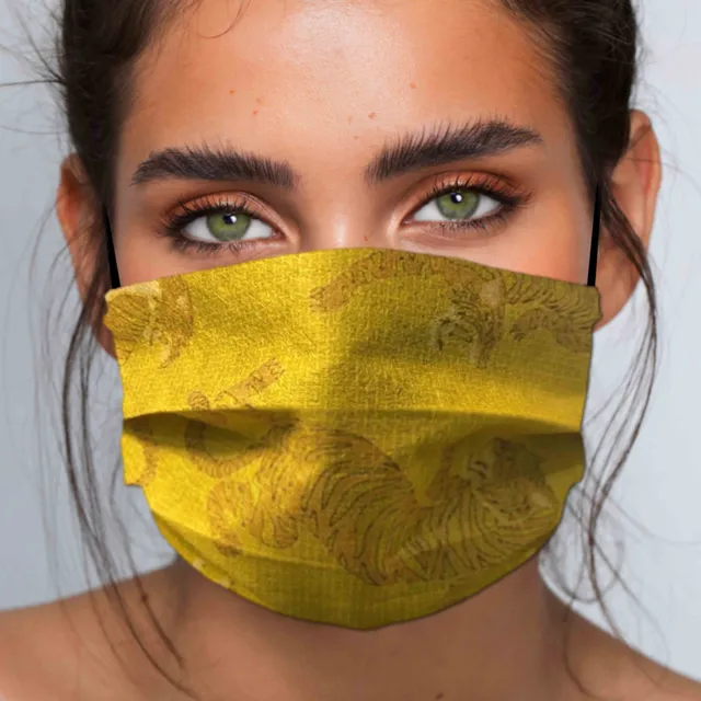 ILKOTT AA83 #0017 masque tissu 3 plis imprimé lot de 2 lavable