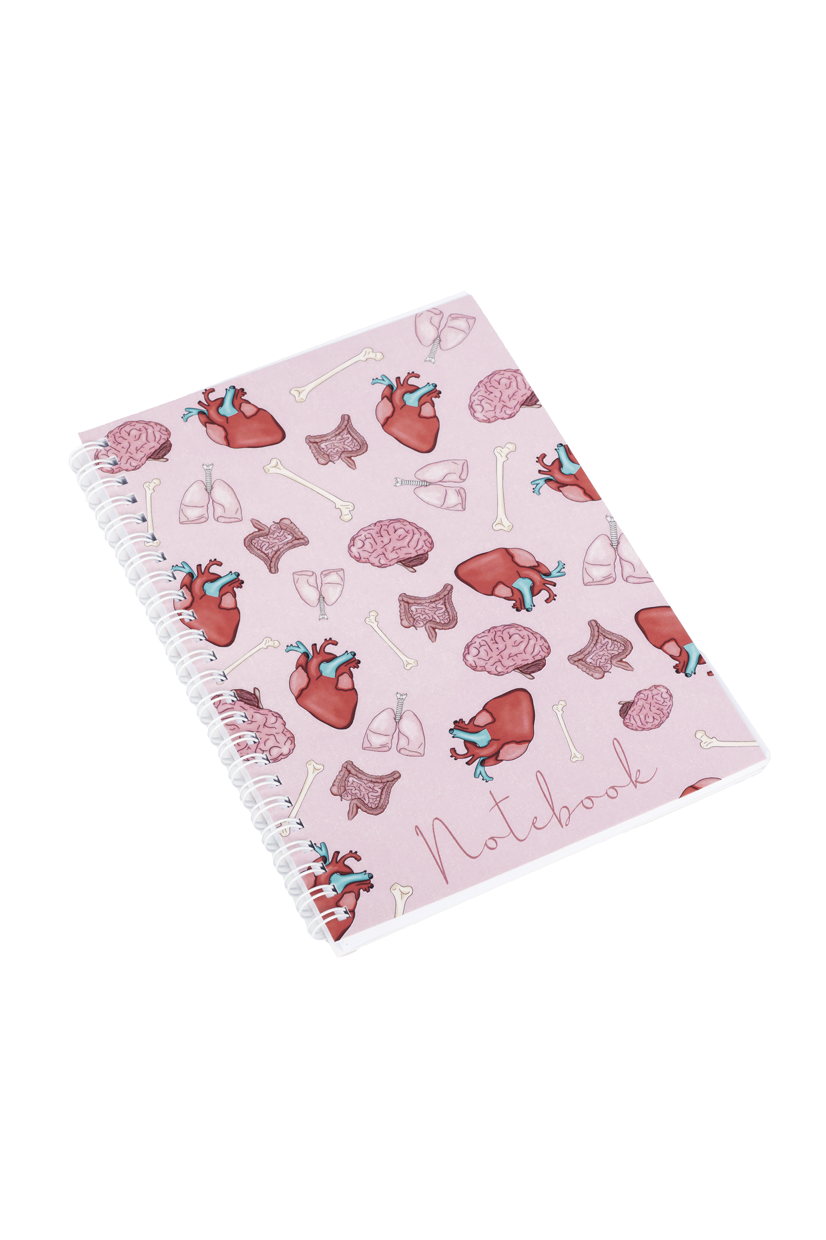Enfermania Papelería Órganos carnet A5 organes médicaux