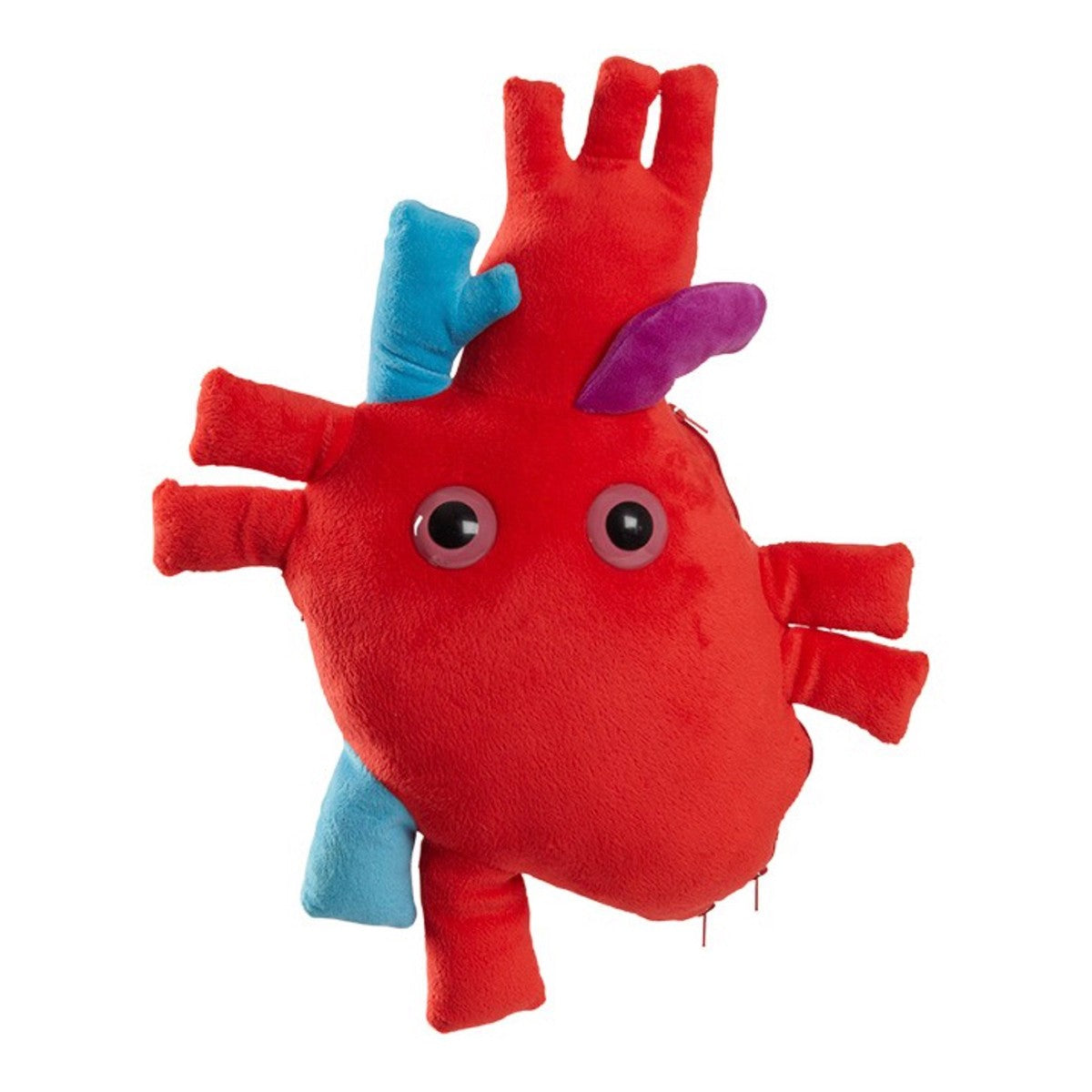 Enfermania Regalos Cœur XL peluche 38 cm modèle anatomique