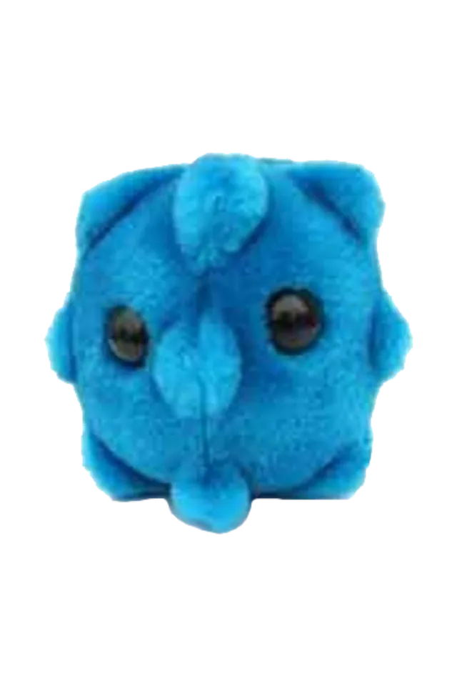Enfermania Regalos GiantMicrobes peluche rhinovirus rhume
